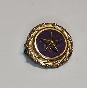 WW2 Gold Star Mothers Pin